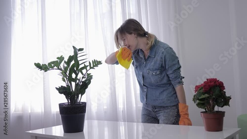 home allergy, young woman in a gloves wiping table sneezes due to irritation on detergent photo