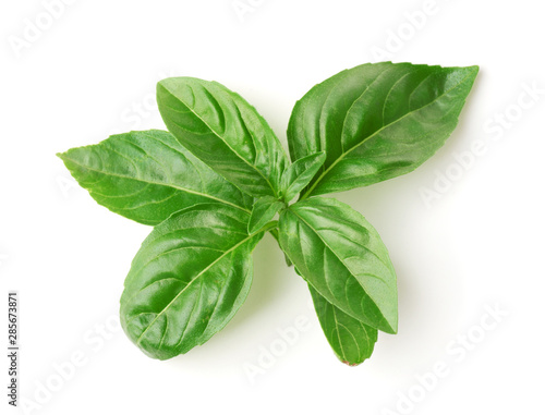 Leinwand Poster Top view of fresh basil leaves