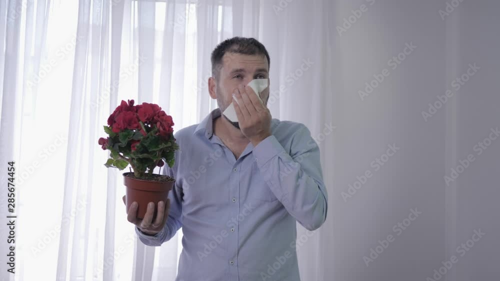 respiratory allergy, man with flower in his hands suffers from sensitivity to pollen of plants constantly sneezes and wipes his face with a handkerchief respiratory allergy, man with flower in his hands suffers from sensitivity to pollen of plants constantly sneezes and wipes his face with a handkerchief