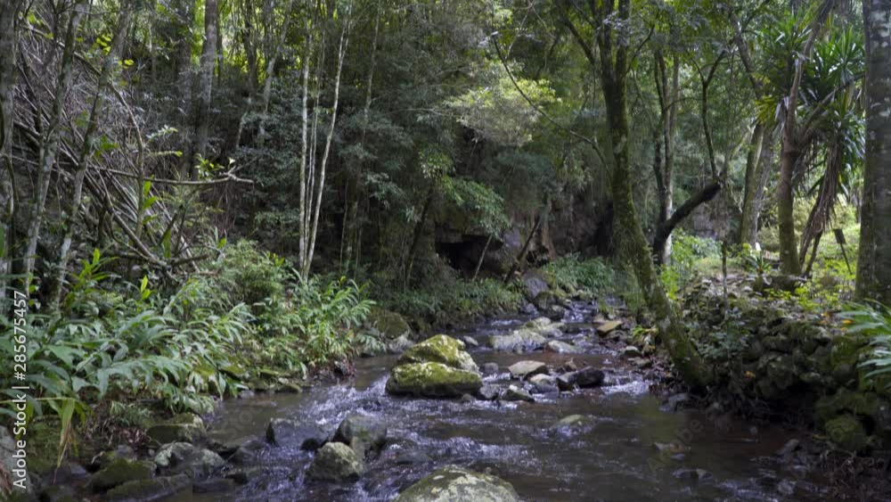 panning of river or stream with rocks in a forest panning of river or stream with rocks in a forest