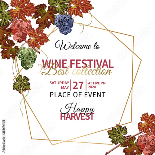 Colorful background with grapes and vine for wine festival.