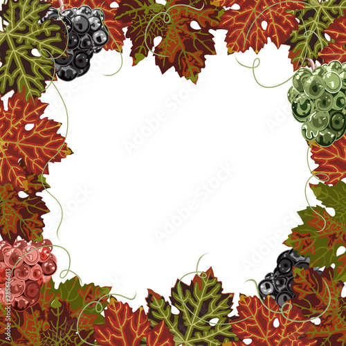 Border of autumn bright grape leaves and bunches of grapes on white background.