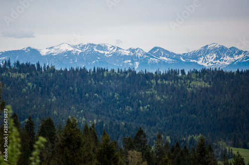 Fototapeta Naklejka Na Ścianę i Meble -  Beautiful foggy Gorce mountains landscape