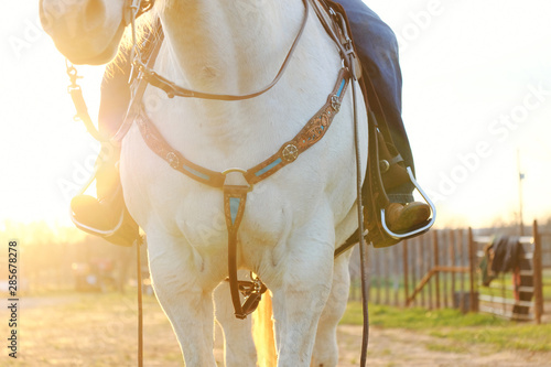 Tableau sur toile Horseback riding shows cowboy boots in stirrups with horse in tack during sunset, close-up of western industry concept