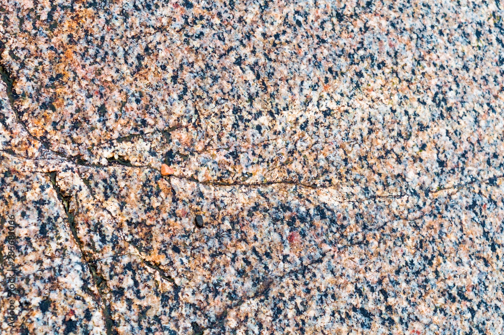 Fototapeta premium Sea stone texture. Panel texture. Spots gray red background. Background fill. Natural stone background.