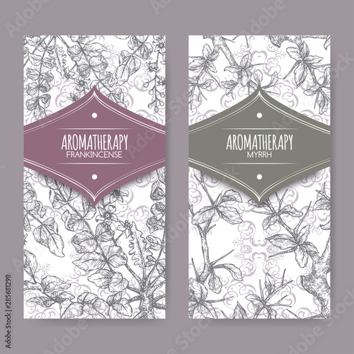 Two labels with Boswellia sacra aka frankincense and Commiphora myrrha aka common myrrh sketch on lace background.
