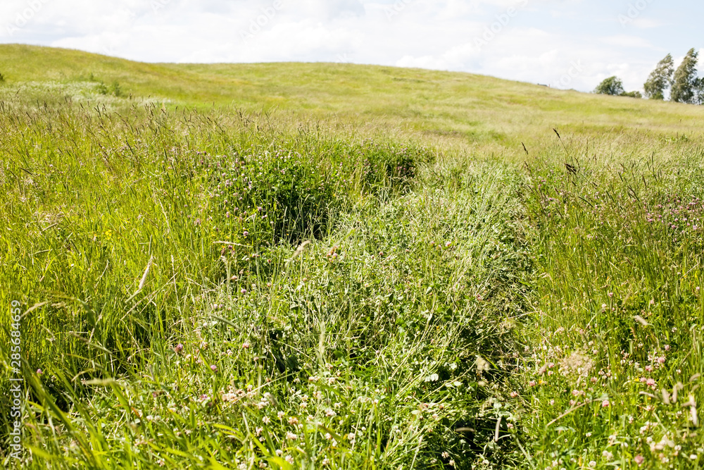 summer landscape with a road among field of grass summer landscape with a road among field of grass
