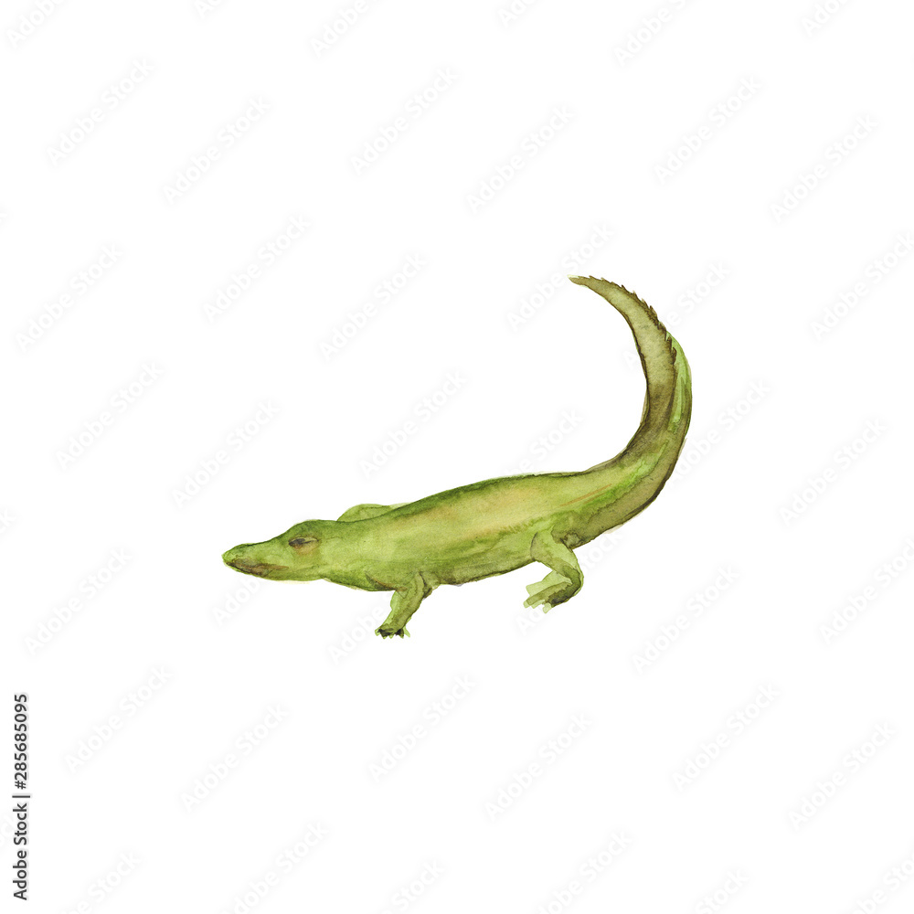 Naklejka premium Watercolor hand drawn sketch illustrations of African crocodile isolated on white