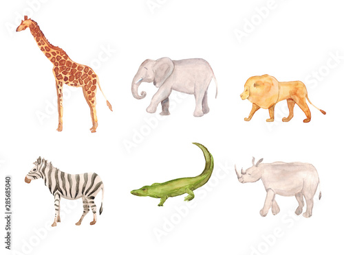 Watercolor hand drawn sketch illustrations of African animals - giraffe, elephant, lion, zebra, crocodile, rhino isolated on white