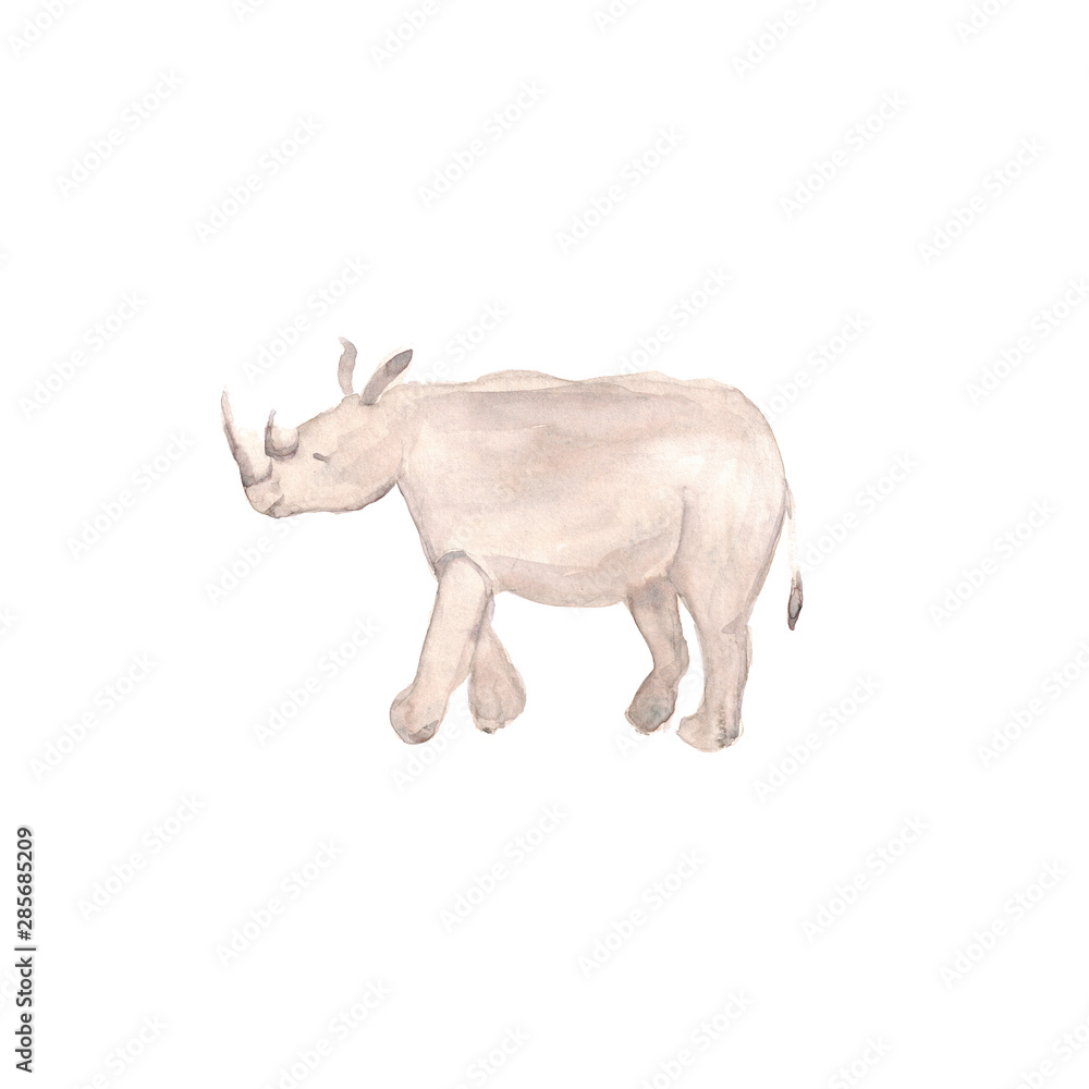 Watercolor hand drawn sketch illustrations of African rhino isolated on white