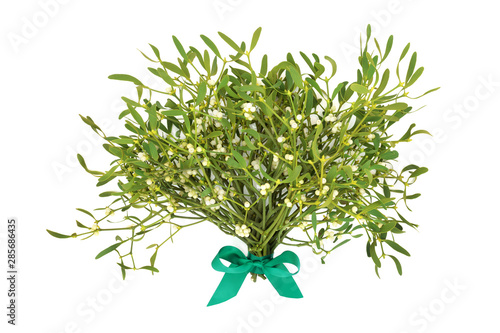 Winter and christmas mistletoe tied with a green bow on white background. Traditional symbol of the festive season. Album viscum.