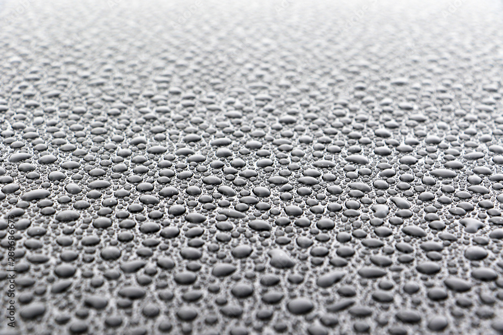 hundreds and thousands of water droplets beading on a gloss black surface of a waxed car hundreds and thousands of water droplets beading on a gloss black surface of a waxed car
