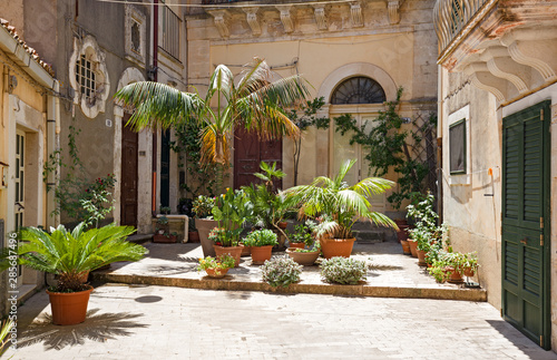 Small courtyard with succulents in Sicily, Italy.