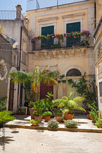Small courtyard with succulents in Sicily  Italy.