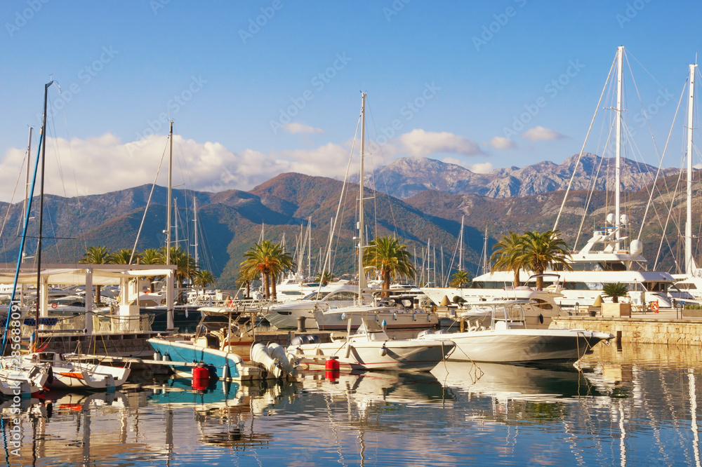 Sunny winter day in yacht marina of Porto Montenegro.  Montenegro, Tivat city, Kotor Bay of Adriatic Sea