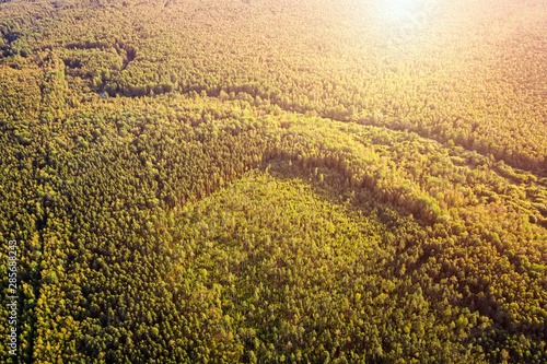 Woodland aerial landscape a...