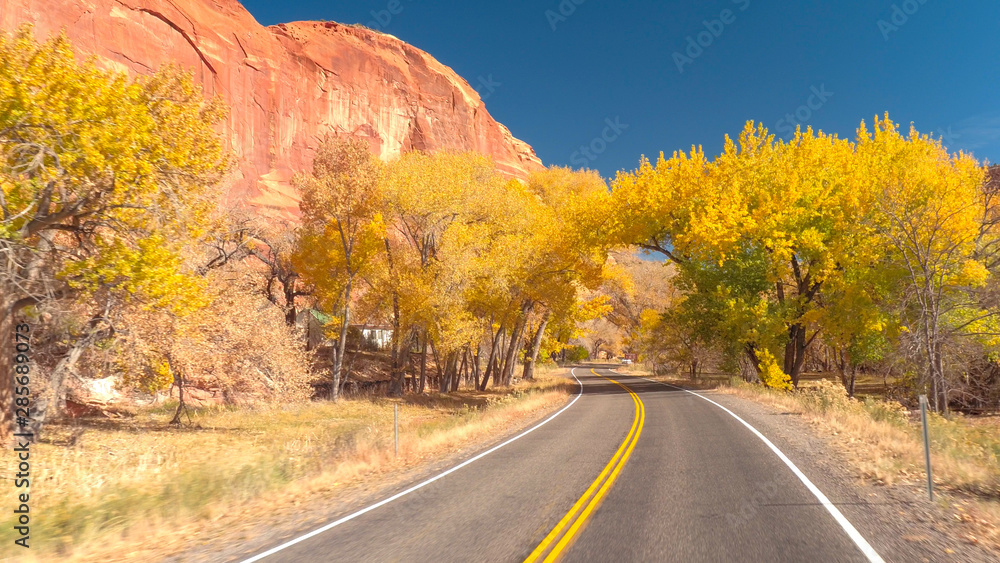 FPV: Traveling through stunning red rock canyon past the yellow trees in autumn FPV: Traveling through stunning red rock canyon past the yellow trees in autumn