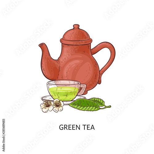 Teapot and a glass cup of green tea sketch vector illustration isolated.