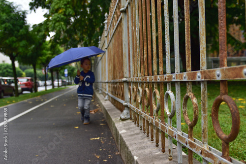 Wallpaper Mural Boy walking in a rainy weather, with an umbrella, in the fall Torontodigital.ca