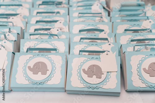 Obraz na plátně baby shower elephant favors