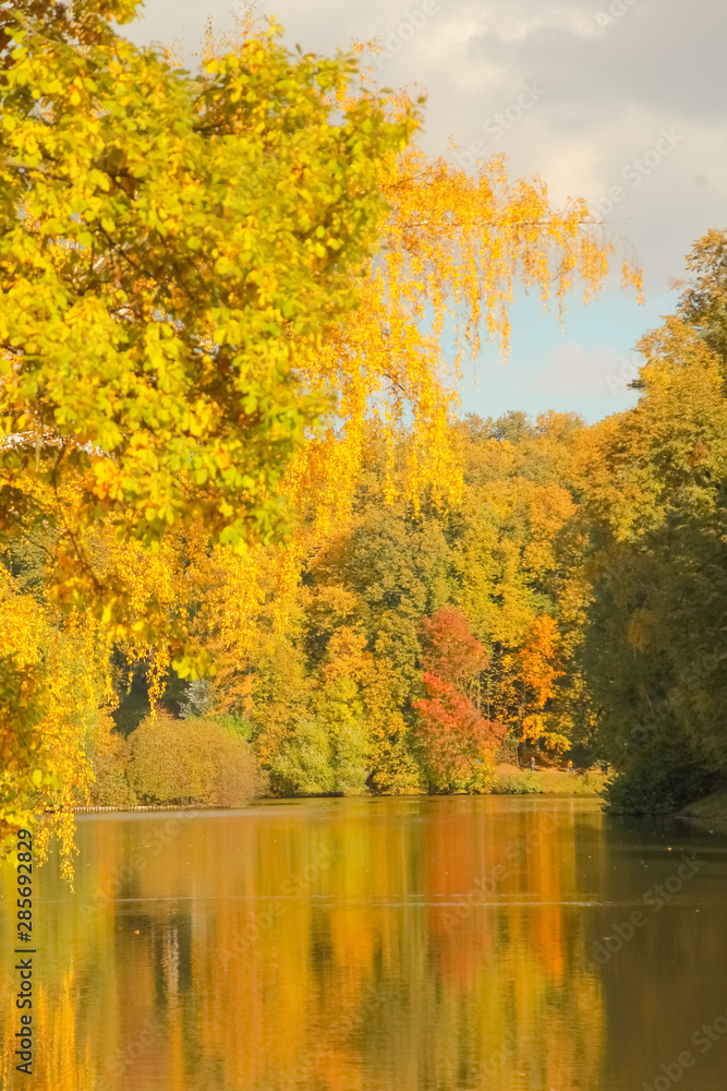 beautiful autumn trees with yellow branches and leaves near water with reflection with nobody