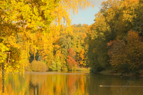 beautiful autumn trees with yellow branches and leaves near water with reflection with nobody