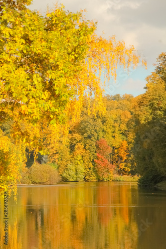 beautiful autumn trees with yellow branches and leaves near water with reflection with nobody