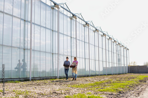 Billede på lærred Female botanist talking while carrying tomatoes in crate