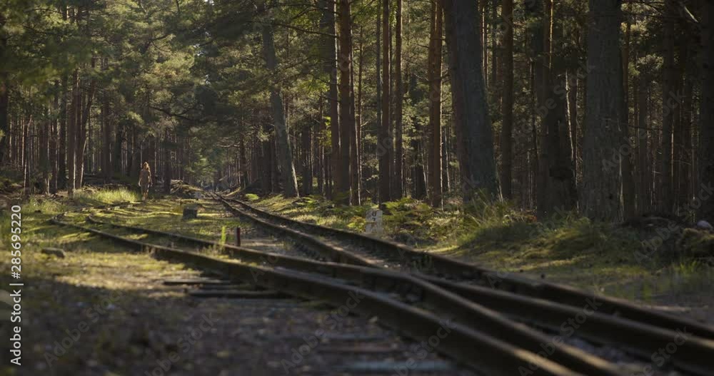 Old railway tracks in the forest.