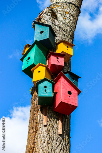Beautiful bright colorful birdhouse on a tree with blue sky on the background wallpaper