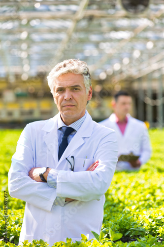 Portrait of confident mature botanist standing with arms crossed at greenhouse