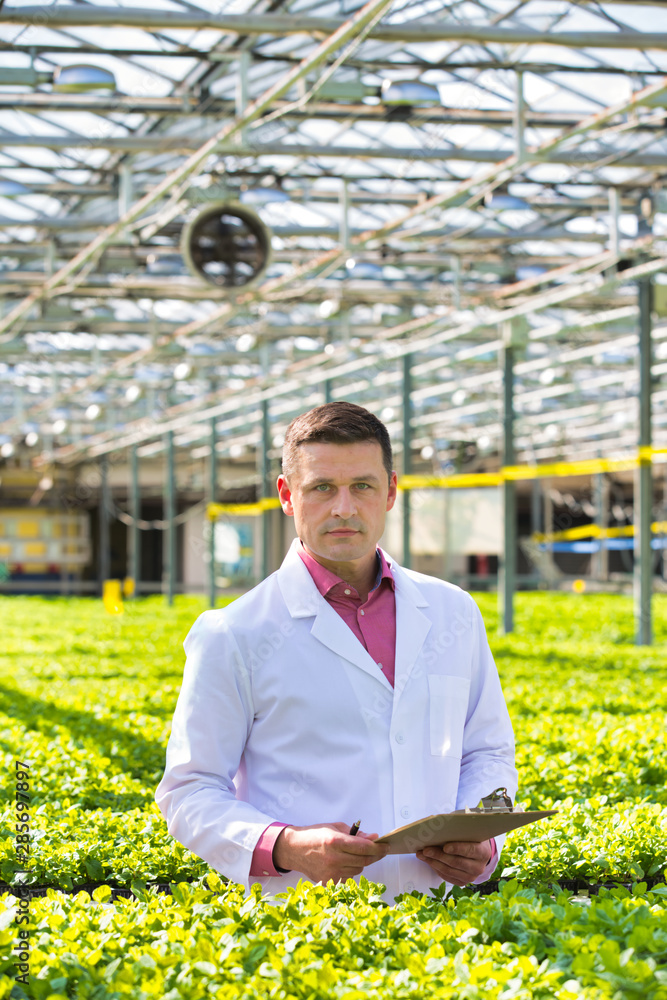 Portrait of scientist standing with clipboard amidst herbs in greenhouse Portrait of scientist standing with clipboard amidst herbs in greenhouse