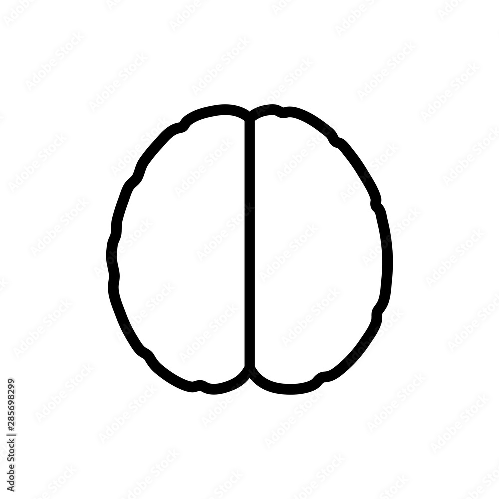 Vector illustration of human brain anatomy Vector illustration of human brain anatomy