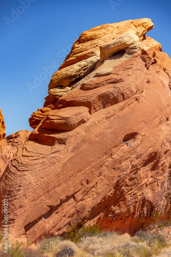 Photography red rocks in the desert