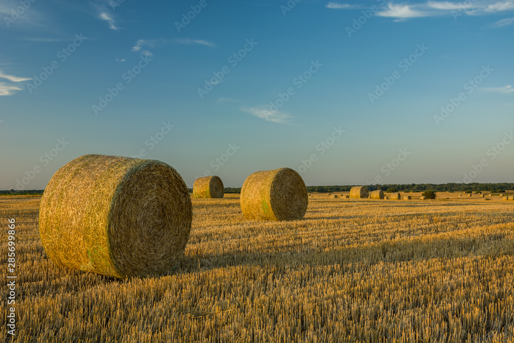 Huge straw bales on the stubble