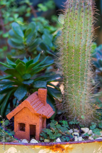 Garden decoration with a small house made of clay, a cactus and other succulent plants.