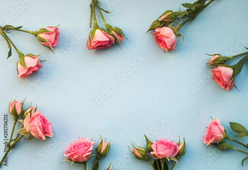 Fototapeta Naklejka Na Ścianę i Meble -  Rose pink flowers floral composition with copy space, minimal blue background