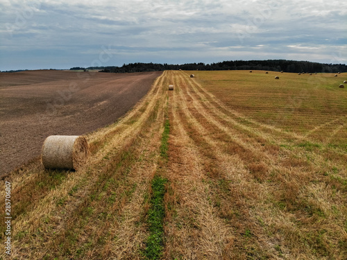 Many hay bales in the agricultural field photo