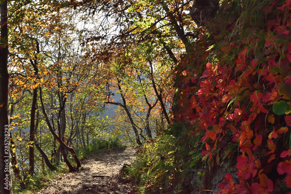 Landscape in the beautiful Plitvice National Park, in Croatia, in the fall Landscape in the beautiful Plitvice National Park, in Croatia, in the fall