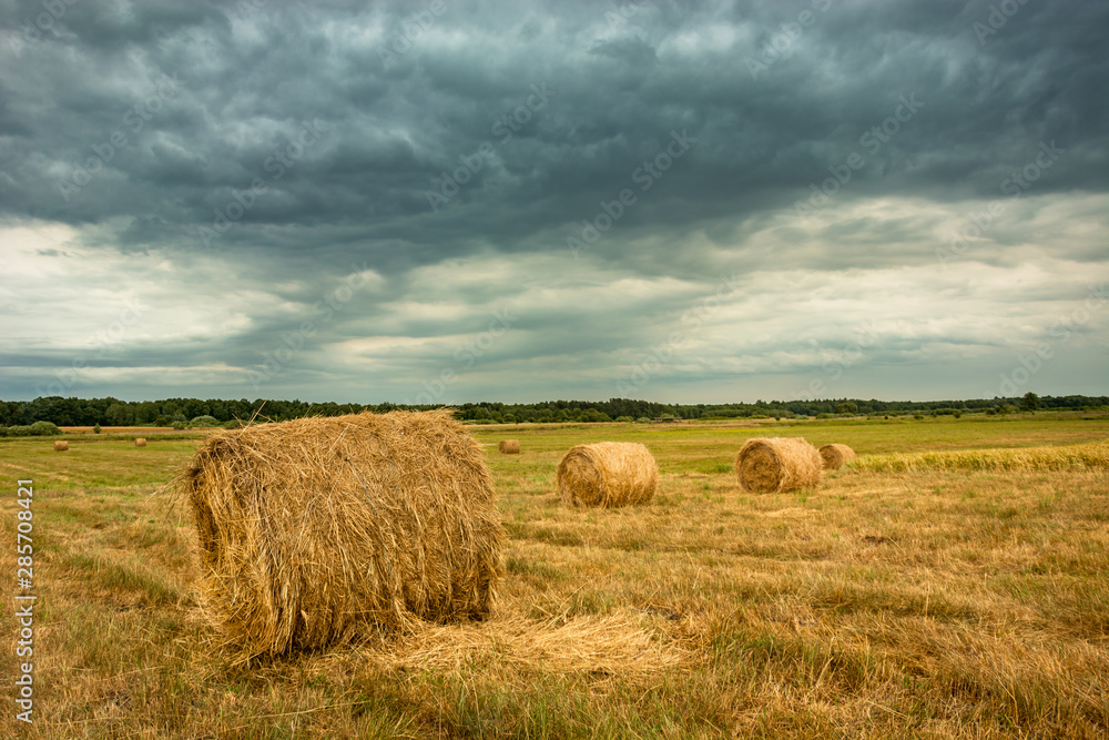 Hay bales in the field, forest on the horizon and dark clouds