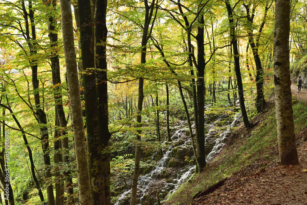 Fototapeta premium Landscape in the beautiful Plitvice National Park, in Croatia, in the fall