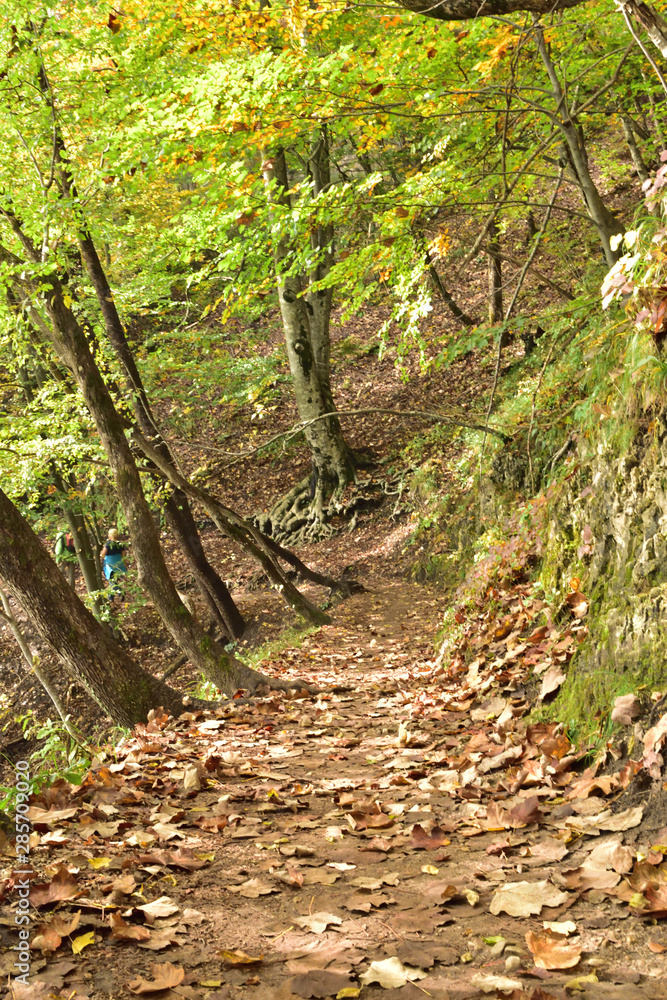 Landscape in the beautiful Plitvice National Park, in Croatia, in the fall Landscape in the beautiful Plitvice National Park, in Croatia, in the fall