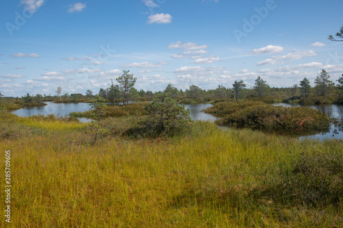 Lakes of Yelnya swamp - National Landscape Reserve  Belarus