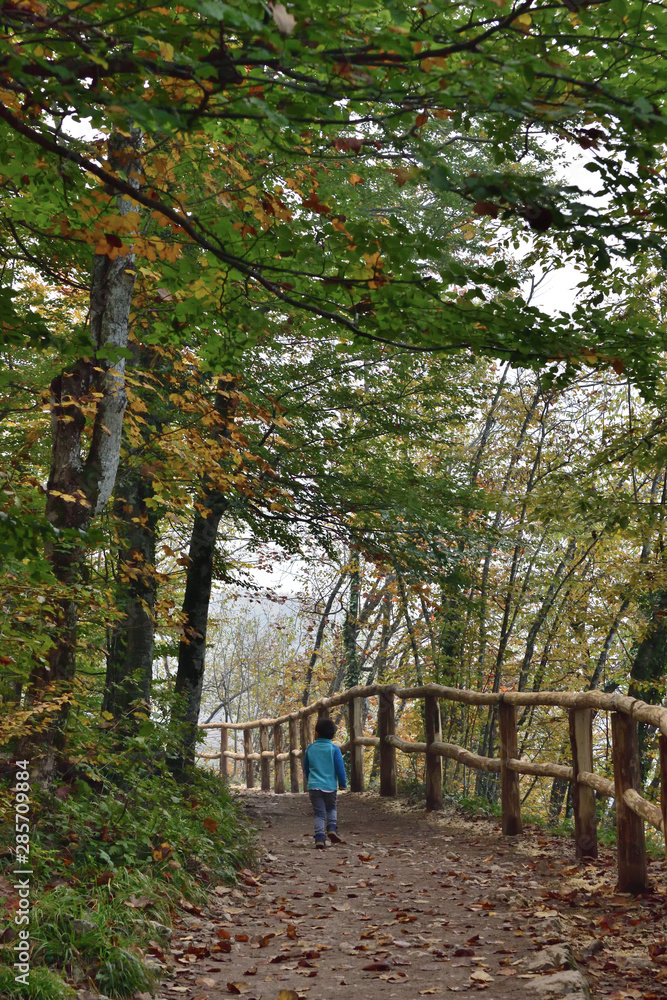 Cute boy traveling in Plitvice National Park, Croatia, in the fall Cute boy traveling in Plitvice National Park, Croatia, in the fall