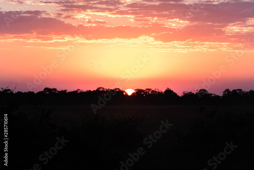 Pantanal Sunset 03