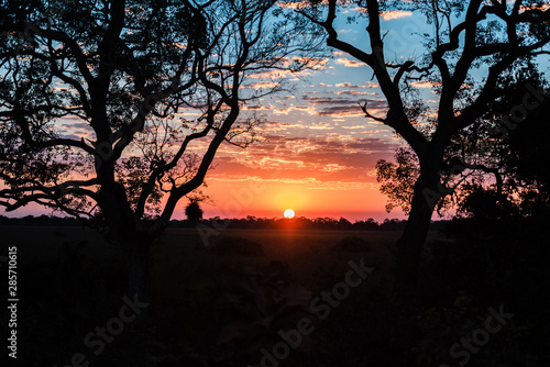 Wallpaper Mural Pantanal Sunset 02 Torontodigital.ca
