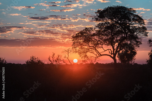 Wallpaper Mural Pantanal Sunset 01 Torontodigital.ca