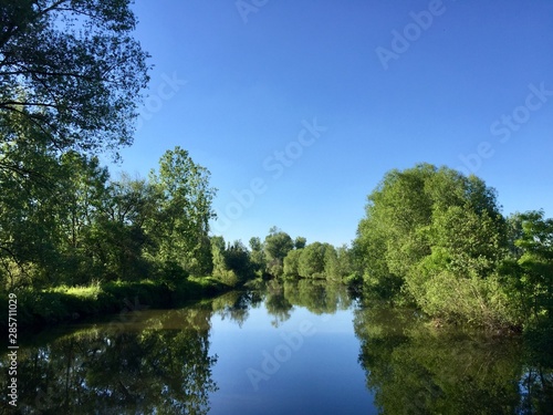 lake in forest