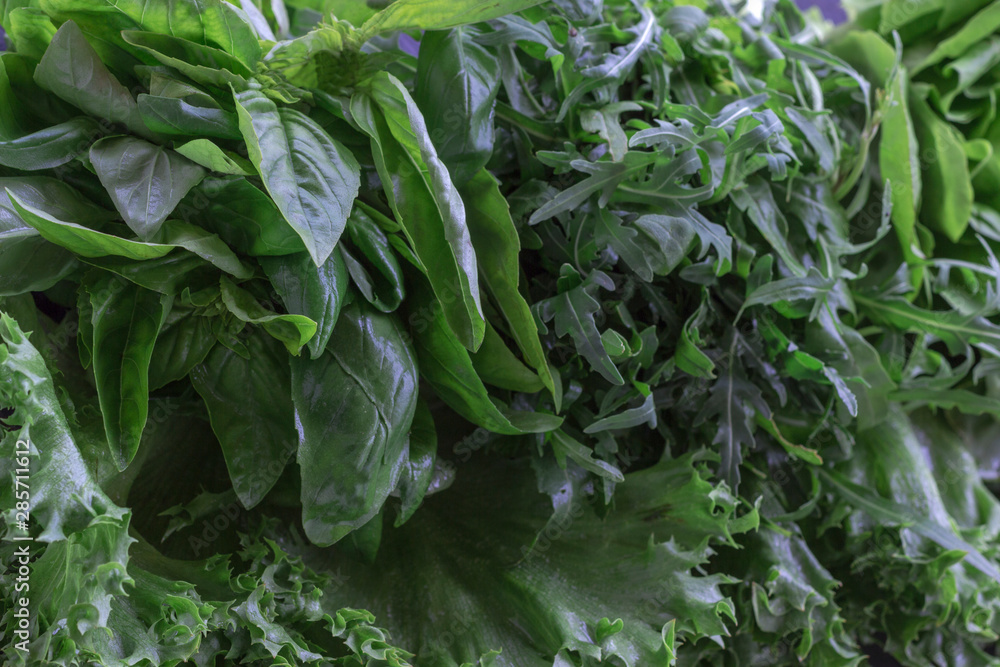 A set of greens for salads: basil and arugula, leafing over a curly salad. Close-up A set of greens for salads: basil and arugula, leafing over a curly salad. Close-up