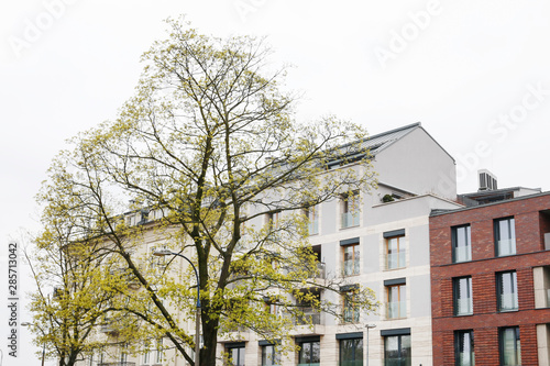 Wallpaper Mural KRAKOW,POLAND - APRIL 15, 2019:  Trees in front of the tenement buildings Torontodigital.ca
